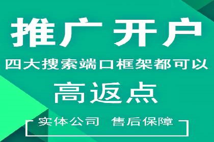 成功案例：百度推广代理助力电商突破